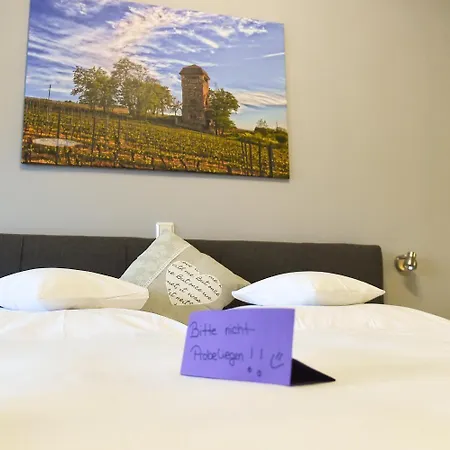 Boardinghouse Alte Bank Hotel